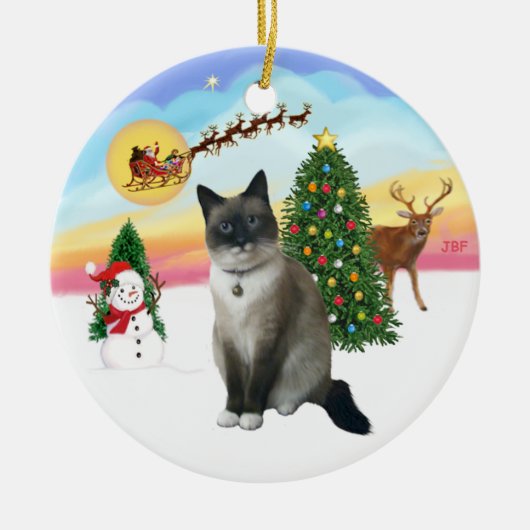 Take Off - Sneeuwschoenkat Keramisch Ornament (Voorkant)