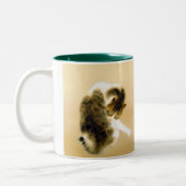 Takeuchi Seiho,Tabby Cat Tweekleurige Koffiemok (Links)