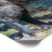 Takin, nationaal dier van Bhutan - Himalaya, Azië Poster (Hoek)