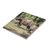 Takin, nationaal dier van Bhutan Tegeltje (Zijkant)