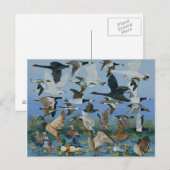 Taking Off 1996 Briefkaart (Voorkant / Achterkant)