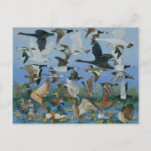 Taking Off 1996 Briefkaart (Voorkant)