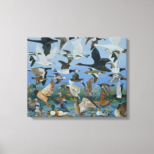 Taking Off 1996 Canvas Afdruk (Voorkant)