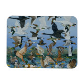 Taking Off 1996 Magneet (Horizontaal)