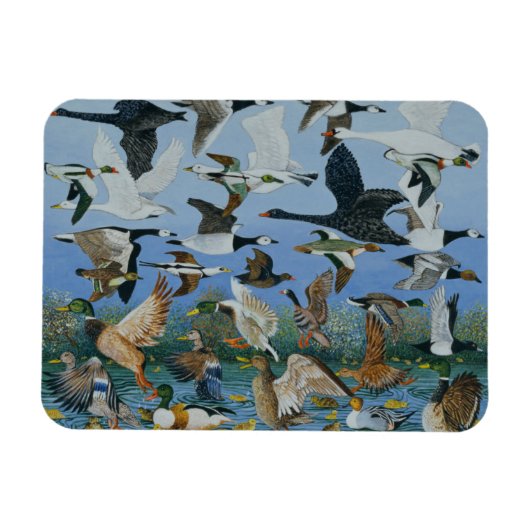 Taking Off 1996 Magneet (Horizontaal)