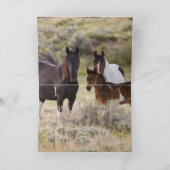 Takini en zijn familie Wenskaart Bedankkaart (Binnen)