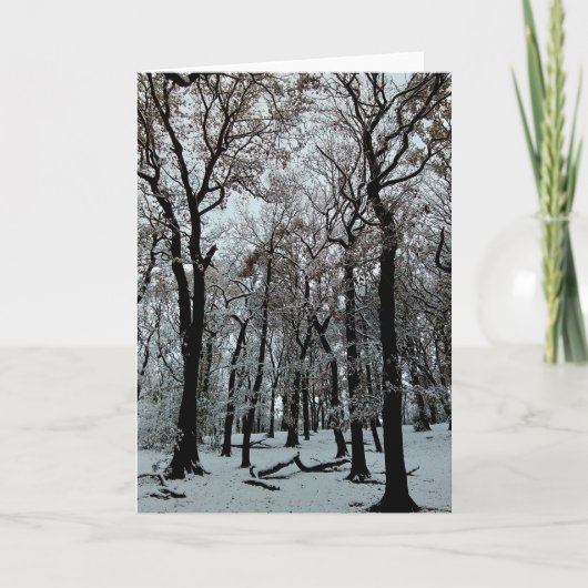 Takken en bomen kaart (Voorkant)