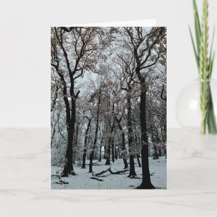 Takken en bomen kaart