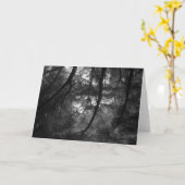 Takken, in zon, UC Kerstman Cruz, 1963 Kaart (Gele Bloem)