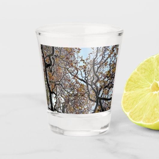 Takken, met oranje bladeren shot glas (Voorkant)