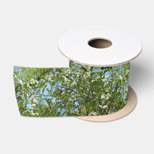 Takken van Bloesems van de Kornoelje Lente Bomen Satijnen Lint