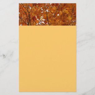Takken van esdoornbladeren I Oranje herfst Briefpapier
