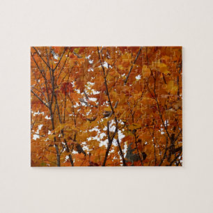 Takken van esdoornbladeren I Oranje herfst Legpuzzel