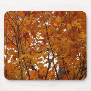 Takken van esdoornbladeren I Oranje herfst Muismat