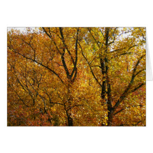 Takken van gele bladeren helder herfst kleurrijk