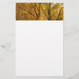 Takken van gele bladeren helder herfst kleurrijk briefpapier