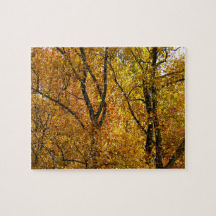 Takken van gele bladeren helder herfst kleurrijk legpuzzel