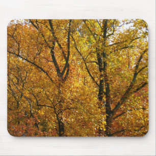 Takken van gele bladeren helder herfst kleurrijk muismat