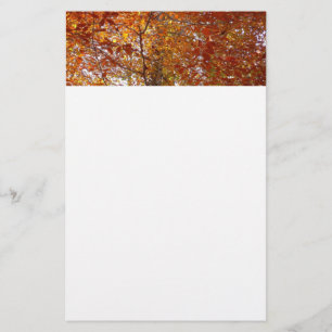 Takken van oranje bladeren herfst natuur briefpapier