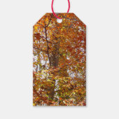 Takken van oranje bladeren herfst natuur cadeaulabel (Voorkant)