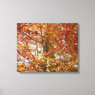 Takken van oranje bladeren herfst natuur canvas afdruk