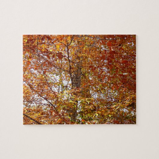 Takken van oranje bladeren herfst natuur legpuzzel (Horizontaal)