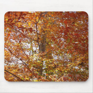 Takken van oranje bladeren herfst natuur muismat