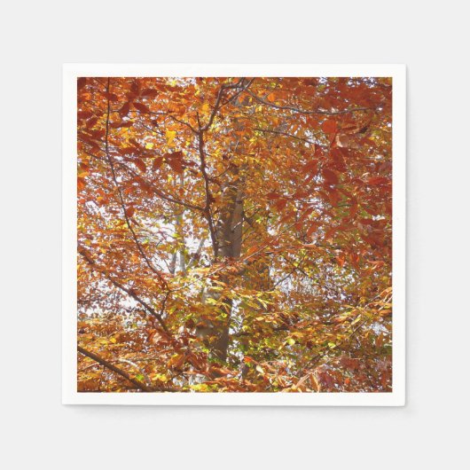 Takken van oranje bladeren herfst natuur servetten (Voorkant)