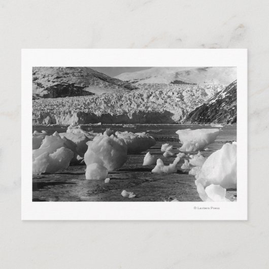 Taku Glacier, nabij Juneau, Alaska-foto Briefkaart (Voorkant)
