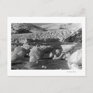 Taku Glacier, nabij Juneau, Alaska-foto Briefkaart