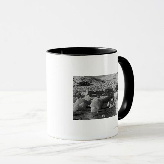 Taku Glacier, nabij Juneau, Alaska-foto Mok (Voorkant rechts)