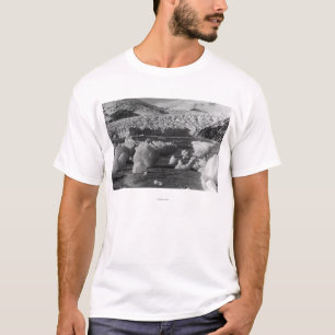 Taku Glacier, nabij Juneau, Alaska-foto T-shirt