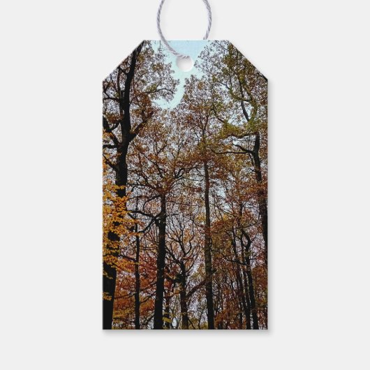 Tal bomen cadeaulabel (Voorkant)