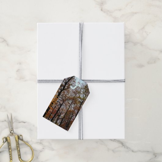Tal bomen cadeaulabel (Met Touw)
