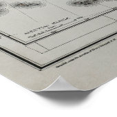 Talen van Noord-Amerikaanse inheemse mensen Kaart  Poster (Hoek)