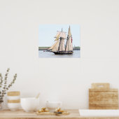 Talenschip Lynx Poster (Keuken)