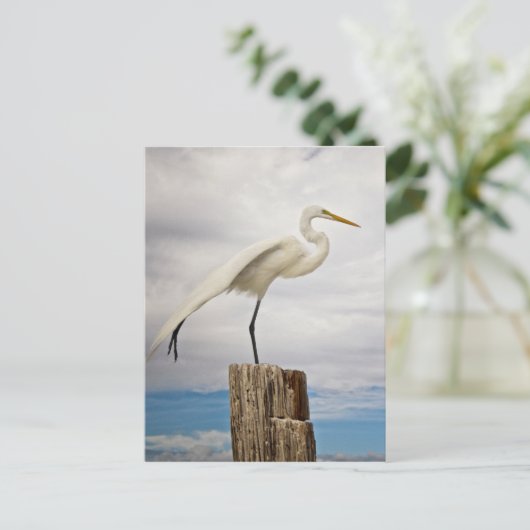 Talented Egret | Fort Myers Beach, Florida Briefkaart (Staand voorkant)