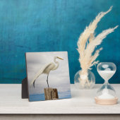 Talented Egret | Fort Myers Beach, Florida Fotoplaat (Insitu)