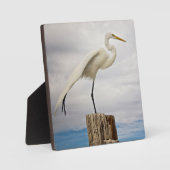 Talented Egret | Fort Myers Beach, Florida Fotoplaat (Voorkant)