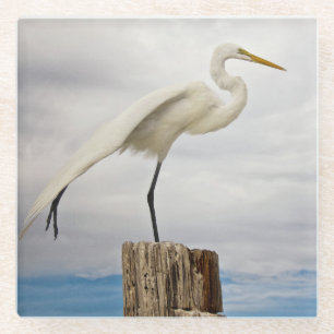 Talented Egret   Fort Myers Beach, Florida Glazen Onderzetter