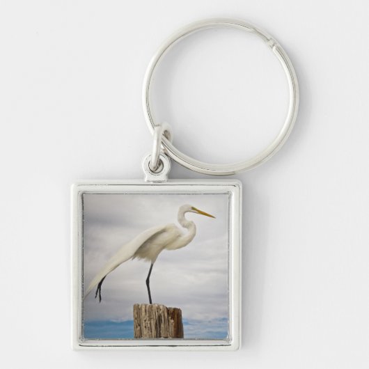 Talented Egret | Fort Myers Beach, Florida Sleutelhanger (Voorkant)