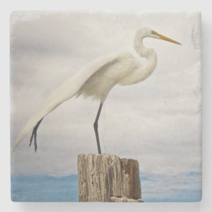 Talented Egret Fort Myers Beach, Florida Stenen Onderzetter