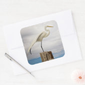 Talented Egret | Fort Myers Beach, Florida Vierkante Sticker (Envelop)