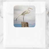 Talented Egret | Fort Myers Beach, Florida Vierkante Sticker (Tas)