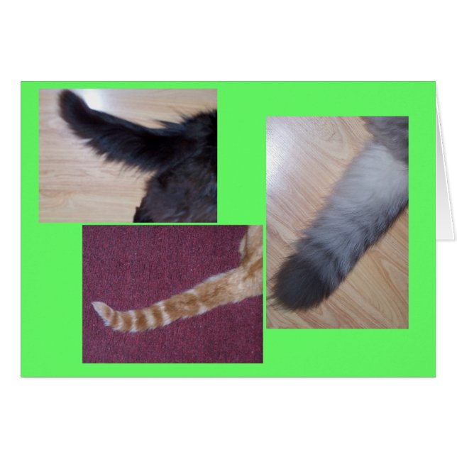 Tales (Voorkant Horizontaal)