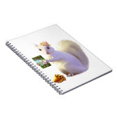 Tales from Farlandia Ozette's Destiny Notitieboek (Rechterzijde)