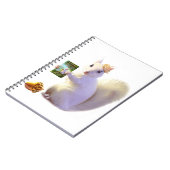 Tales from Farlandia Ozette's Destiny Notitieboek (Linkerzijde)