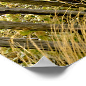 Talggoudgrassen in Frankrijk Poster (Hoek)