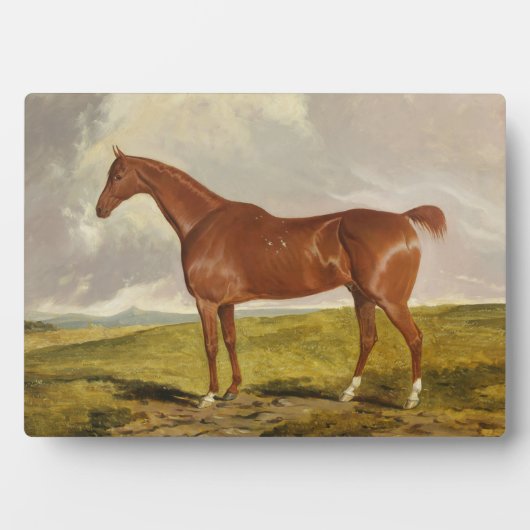 Talisman, c.1840 fotoplaat (voorkant)