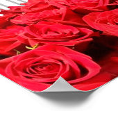 Talk Derby to Me Renpaard Welkom Poster (Hoek)